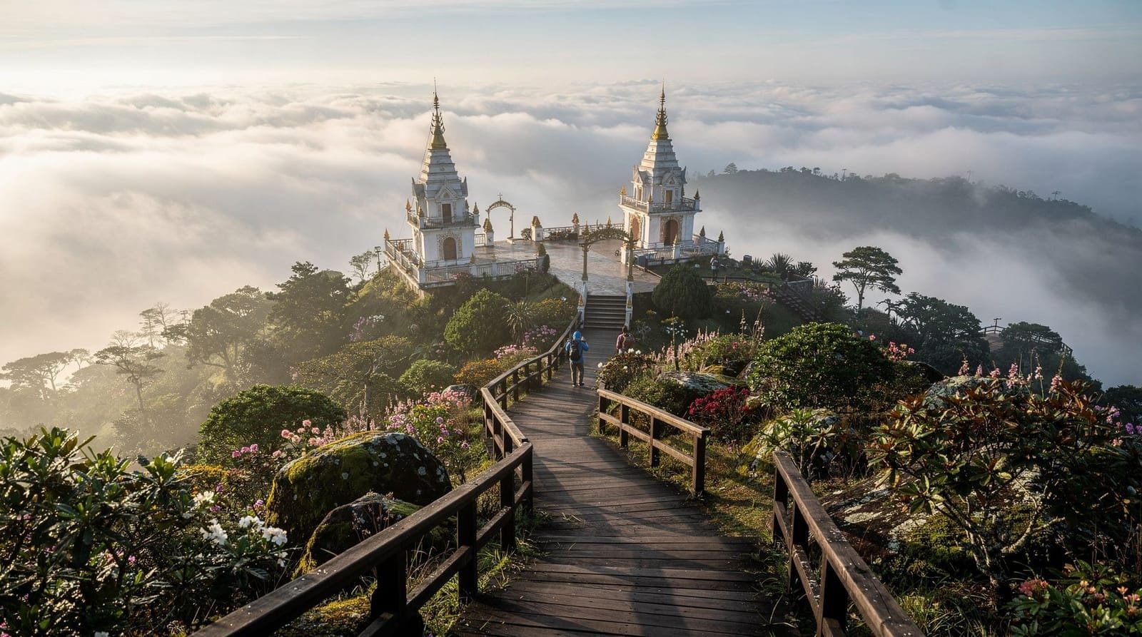 Doi Inthanon at sunrise: is the 3am wake-up actually worth it — We did the pre-dawn drive up Thailand's highest peak so you don't have to guess.