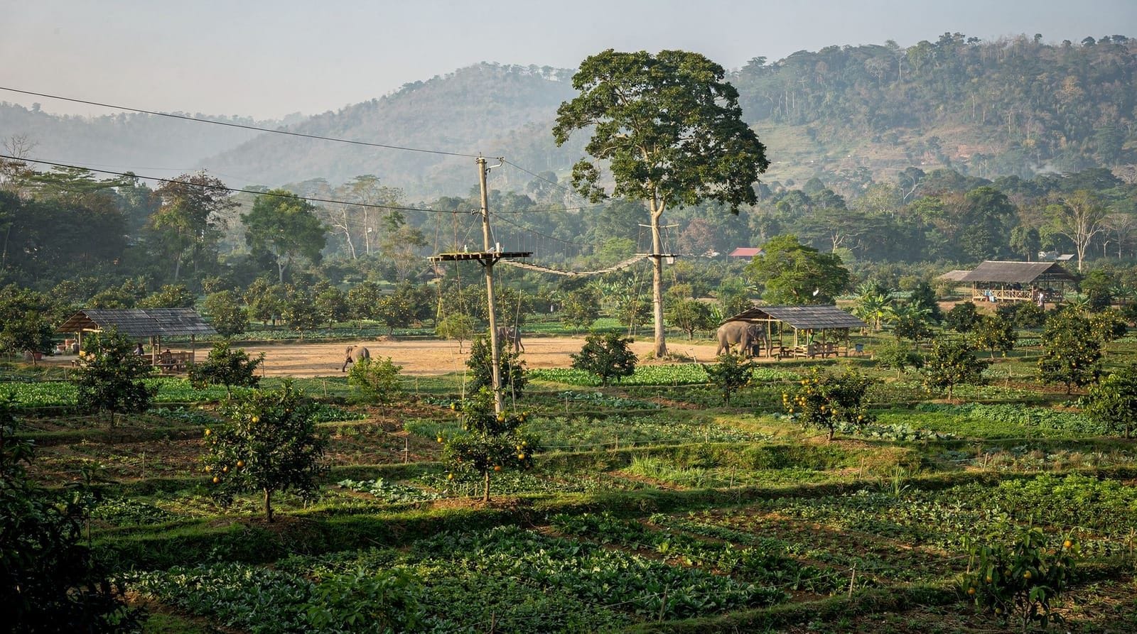 Mae Rim, Chiang Mai