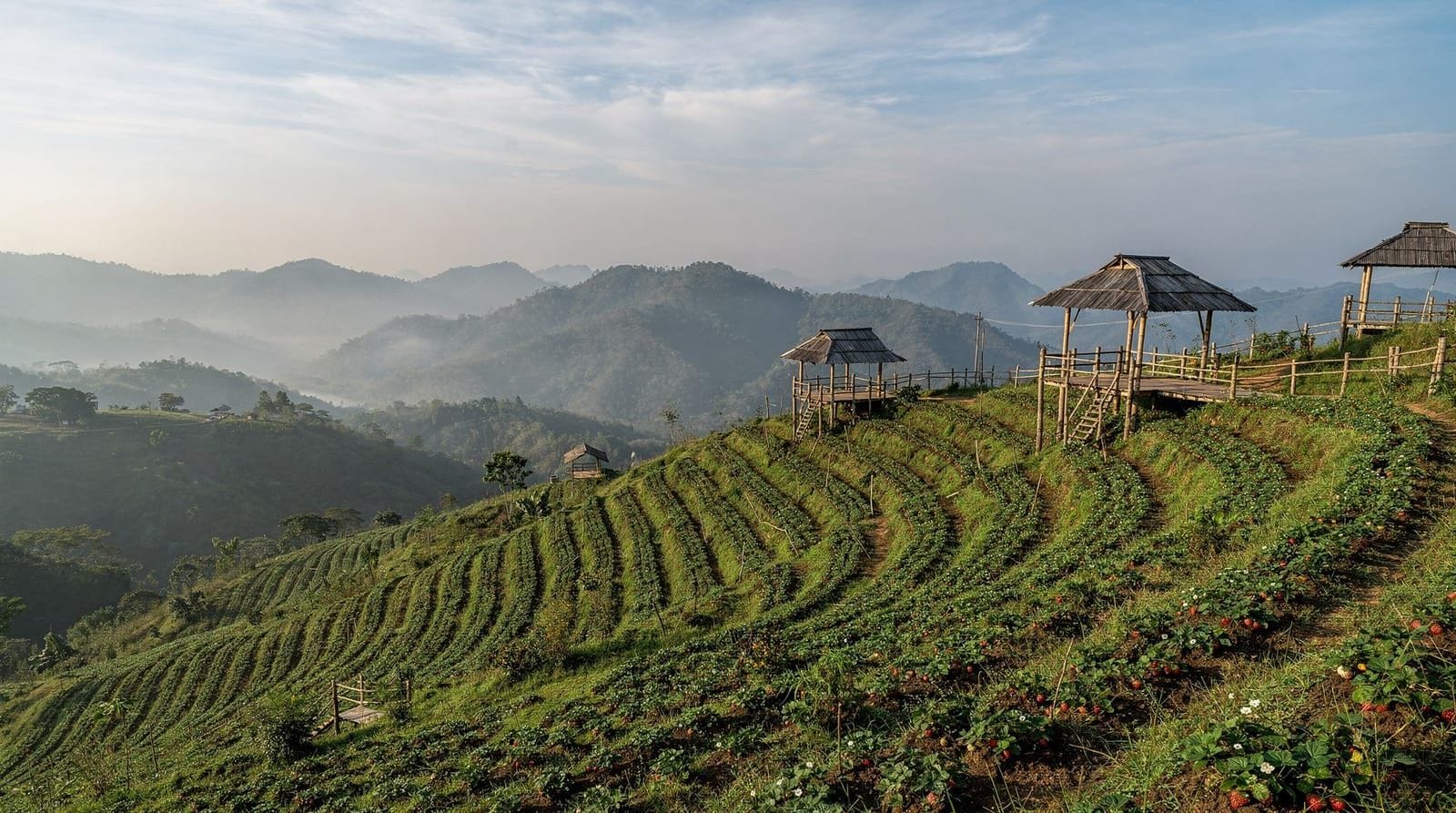 Mon Cham, Chiang Mai