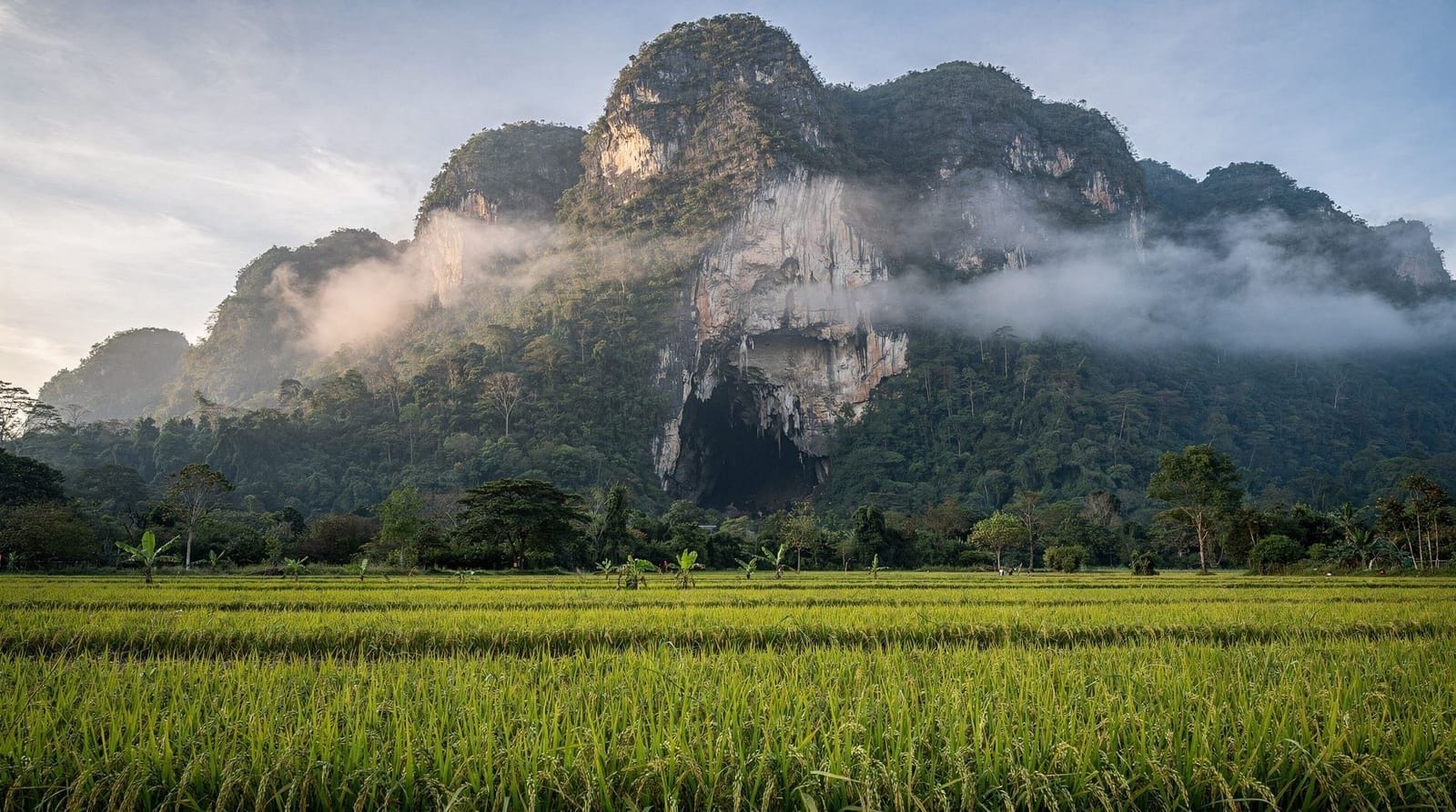 Chiang Dao cave and hiking guide: lamps, legends, Doi Luang — A lit self-guided section, lamp-guided dark chambers, and Thailand's third-highe
