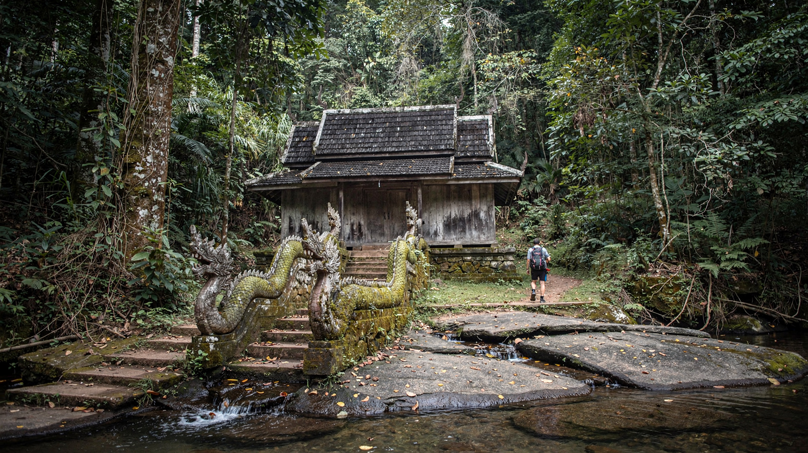Chiang Mai: Doi Suthep Temple & Wat Pha Lat Hike